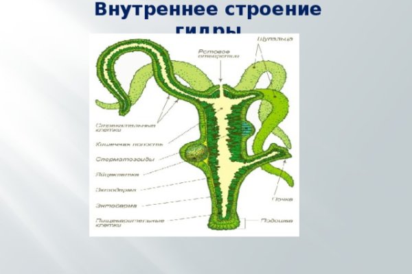 Маркетплейс кракен kraken